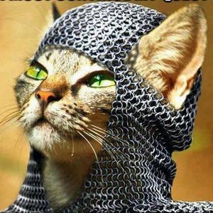 Meet your Posher, Kathryn